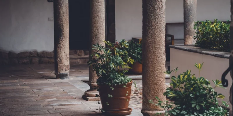 Hellenistic Inspirations