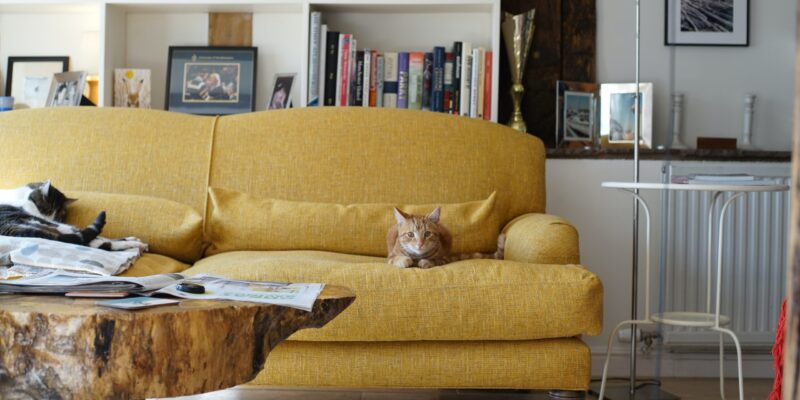 The Comfortcore Revolution