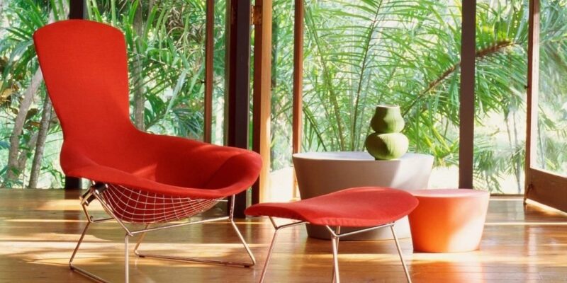 Spotlight: The Bird Chair