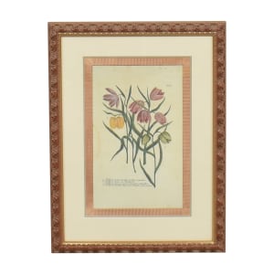 buy Ethan Allen Framed Botanical Wall Art Ethan Allen Wall Art