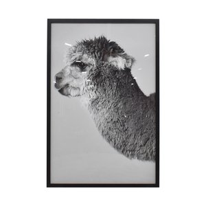 Crate & Barrel Crate & Barrel Lucy the Llama Framed Wall Art black